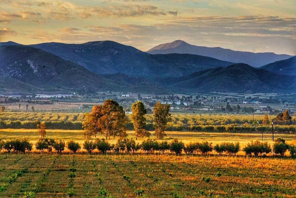 Villa Corsua Valle de Guadalupe Dış mekan fotoğraf