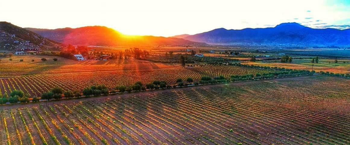 Villa Corsua Valle de Guadalupe Dış mekan fotoğraf