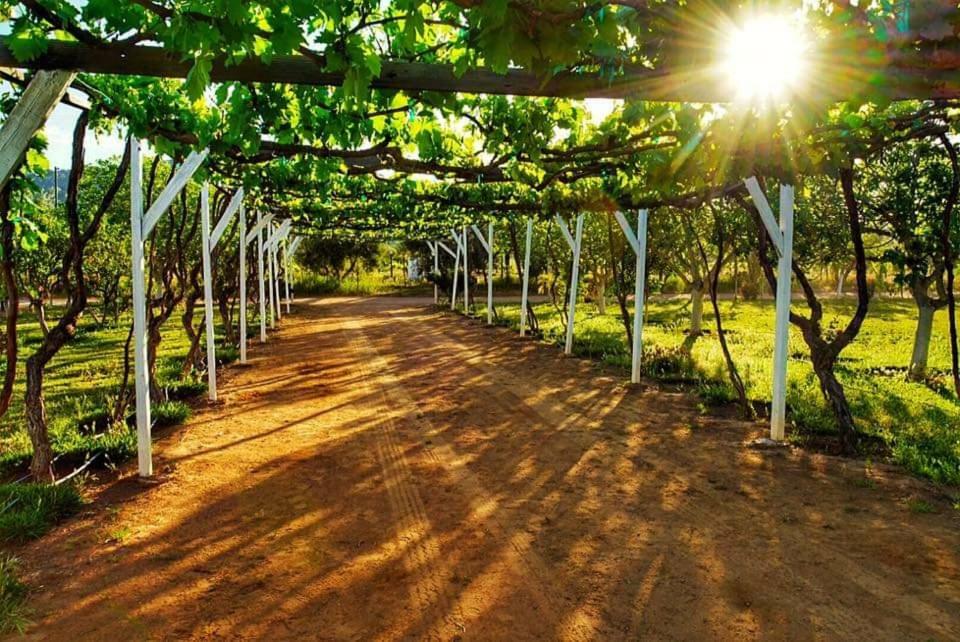 Villa Corsua Valle de Guadalupe Dış mekan fotoğraf